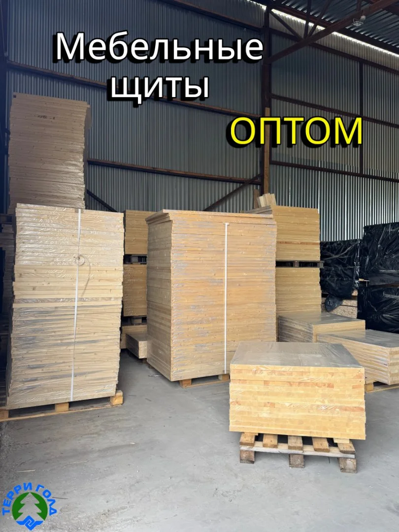 Мебельный щит из Вологды - изображение 1