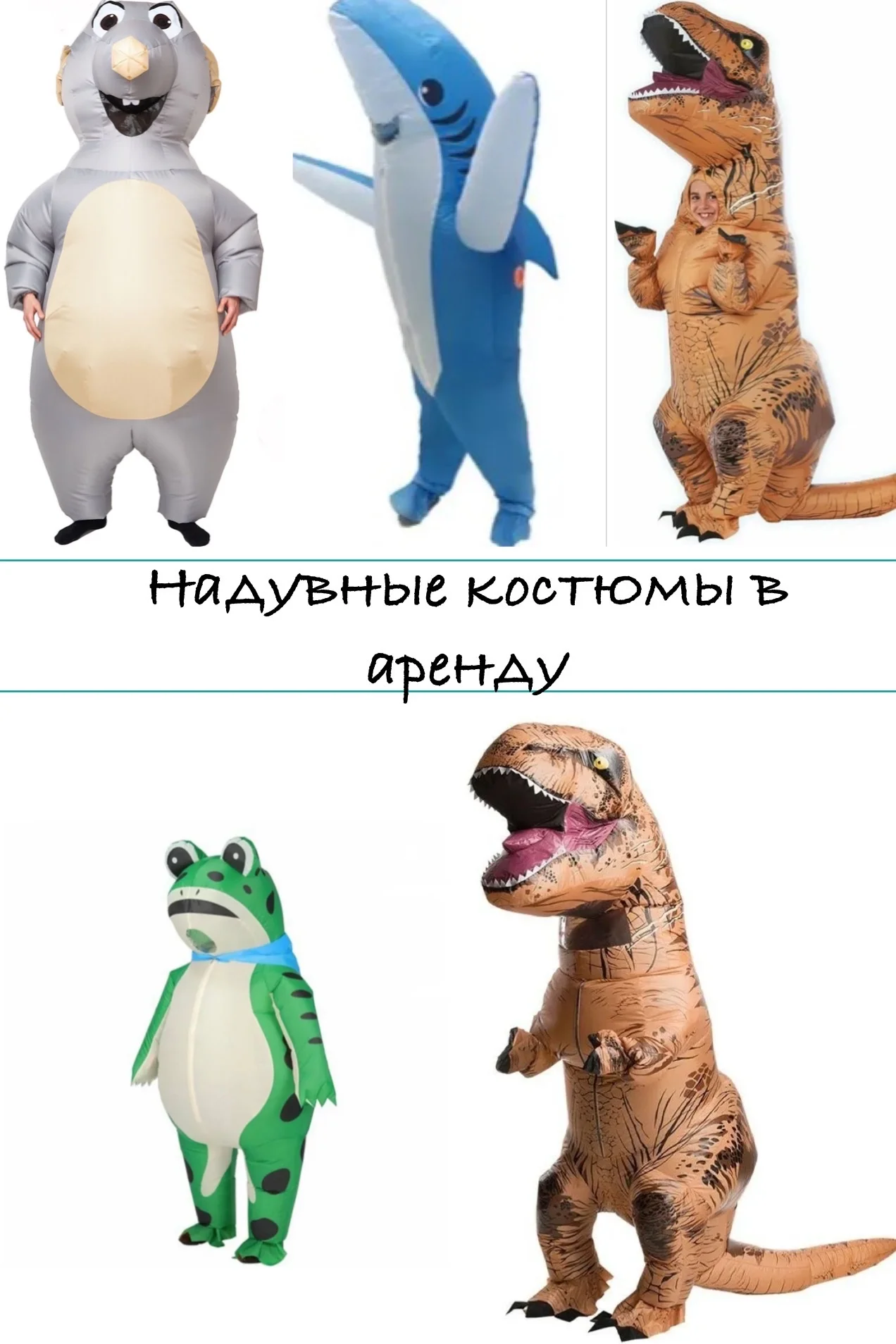 Надувной костюм крысы/мыши в аренду - изображение 1
