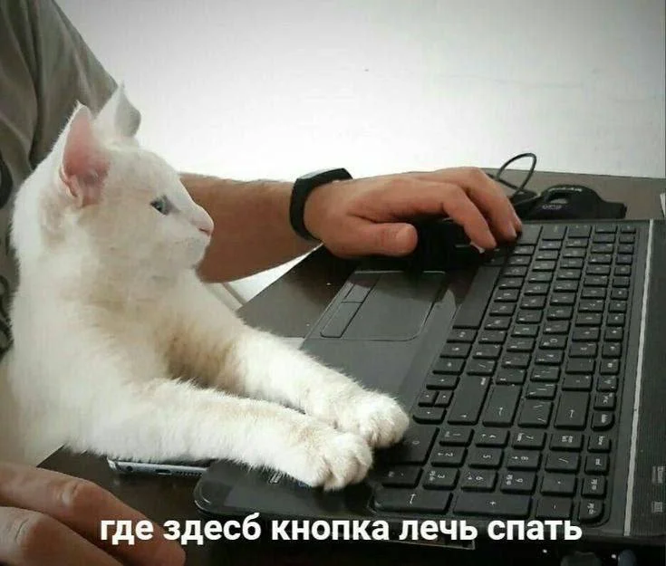 Услуги IT - изображение 1