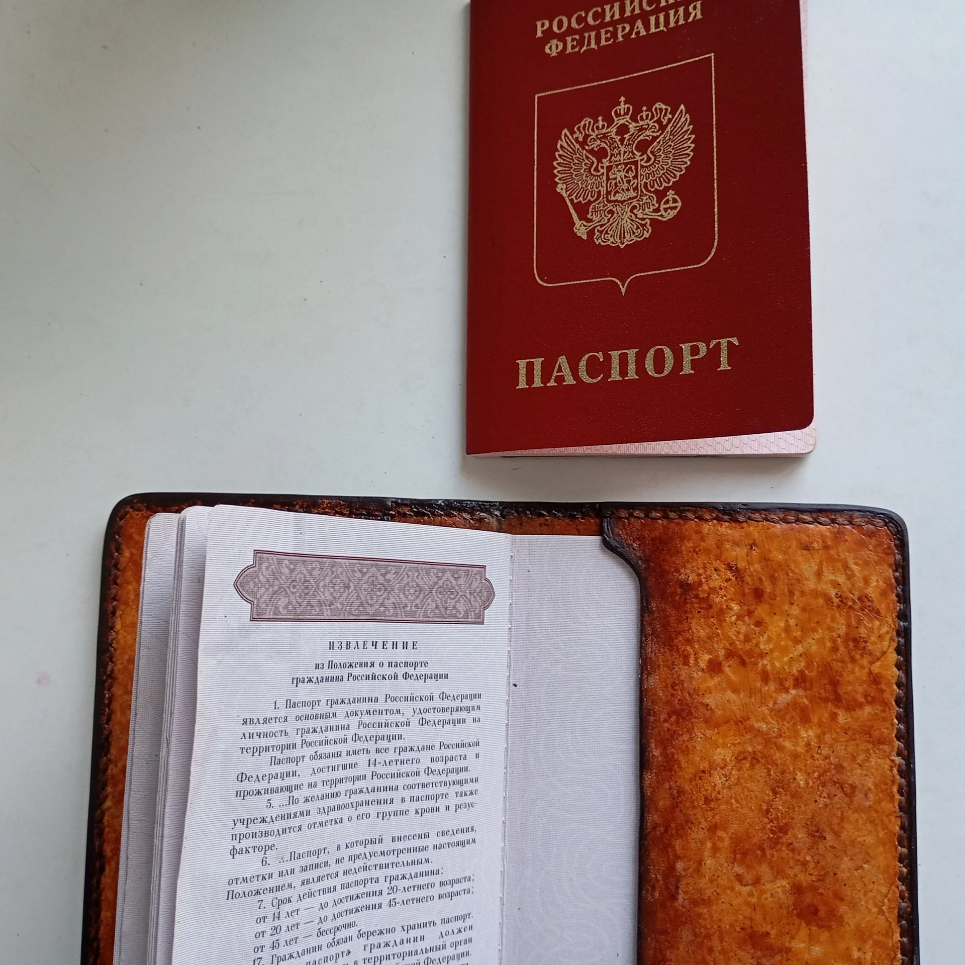 Обложка на паспорт - миниатюра 3