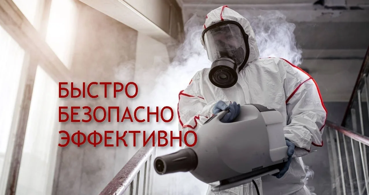 Дезинфекция. клопов, тараканов - изображение 1