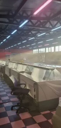Уничтожение. Тараканы, клопы,клещи, грызуны - миниатюра 6