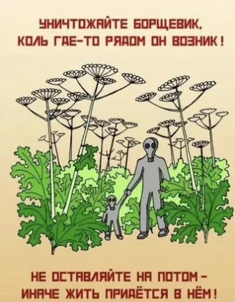Дезинсекция. от насекомых и грызунов - миниатюра 9