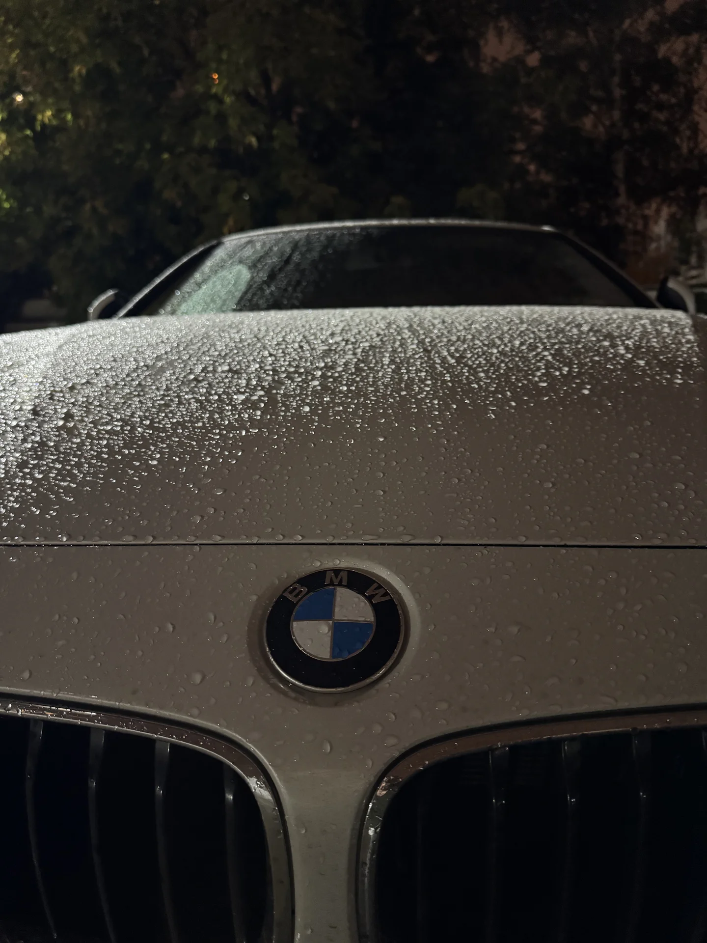 BMW 420i - миниатюра 3