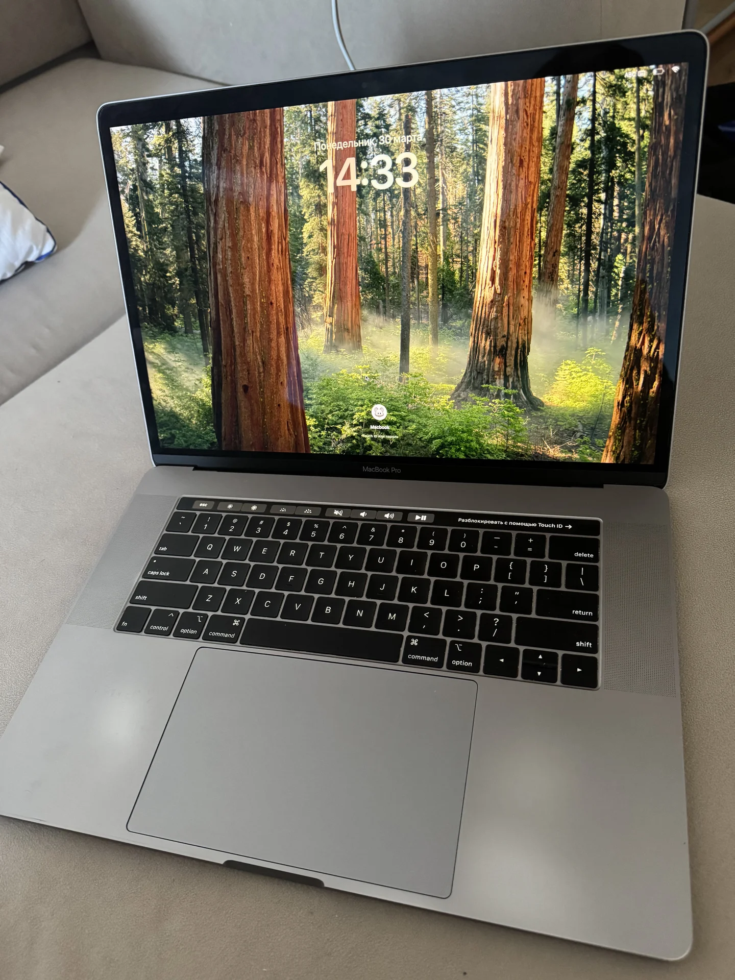 MacBook pro 2019 - миниатюра 2