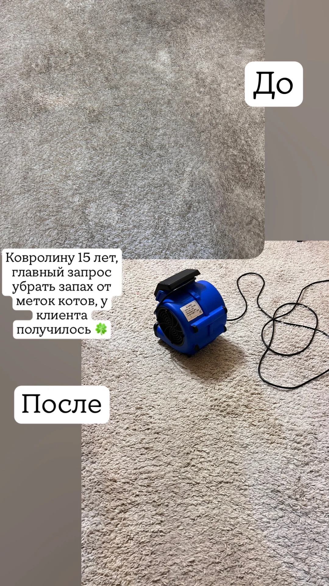 Моющий пылесос керхер в аренду - миниатюра 2