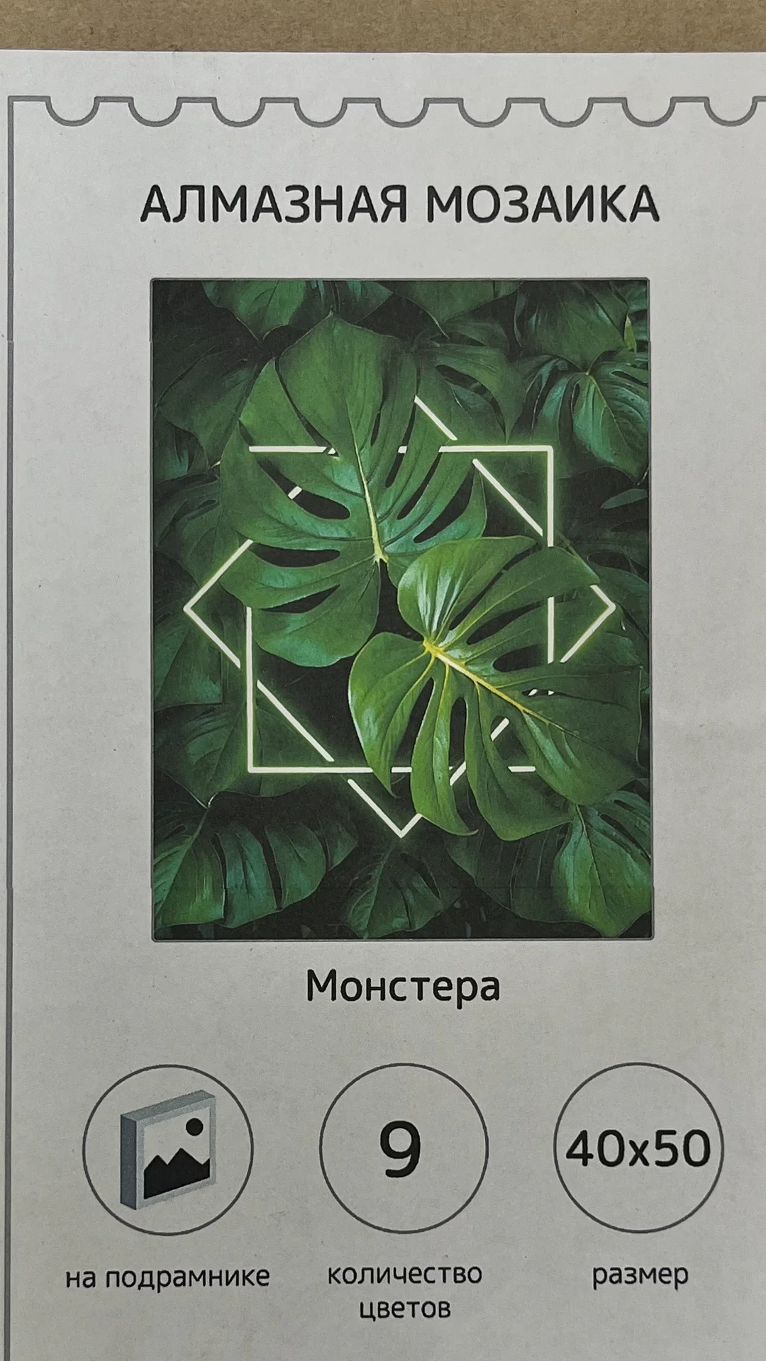 Картина алмазная мозаика "Монстера" - миниатюра 6