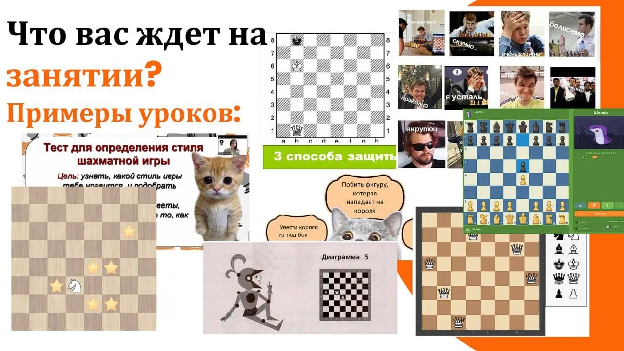 Тренер по шахматам - миниатюра 4