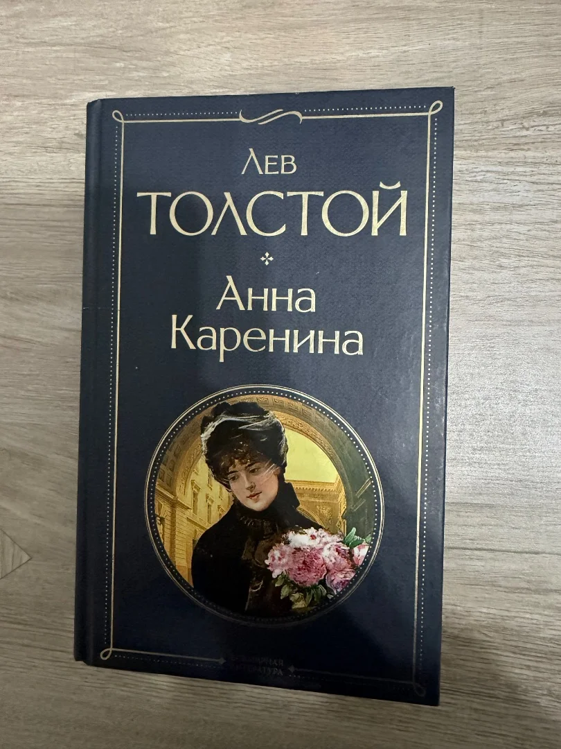 Книга Анна Каренина - изображение 1
