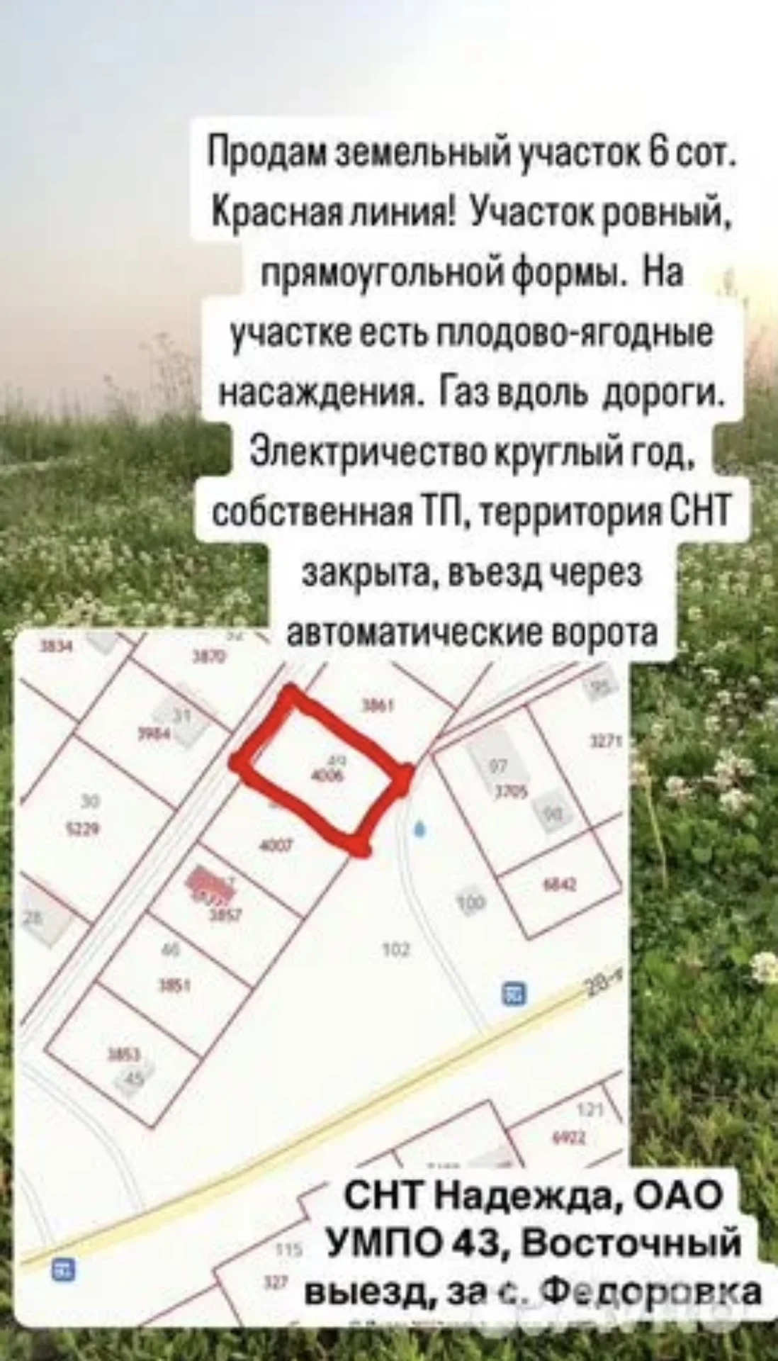 Участок 6 сот в СНТ - миниатюра 3