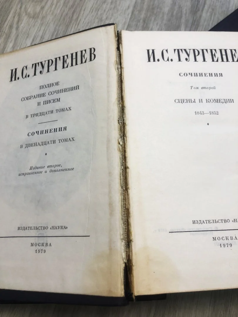 Тургенев И.С. собрание сочинений в 12 томах - миниатюра 8