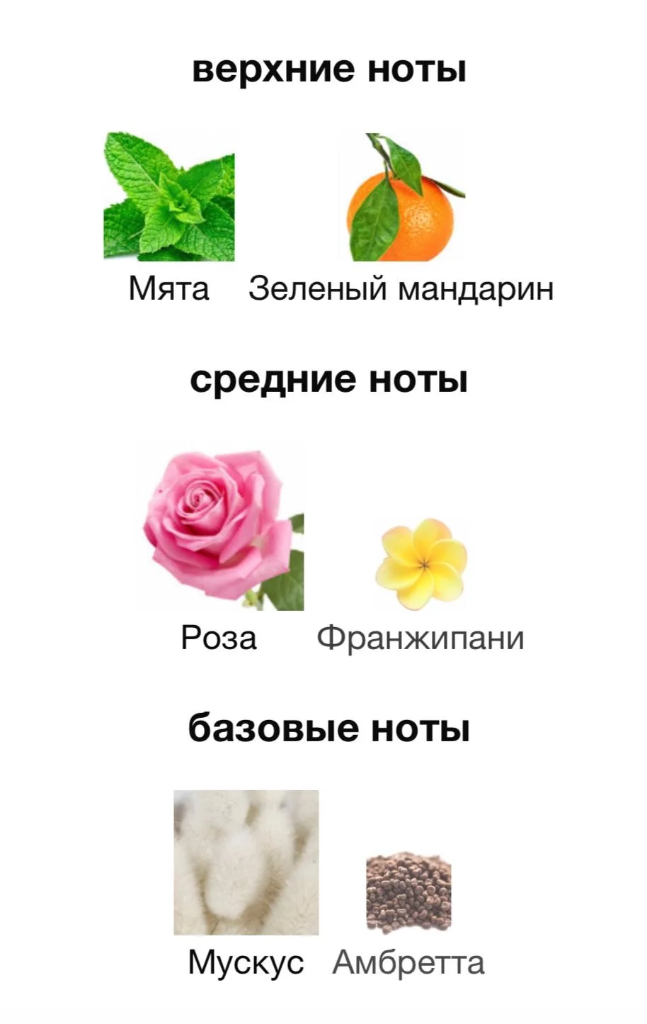 Духи Lacoste - миниатюра 3