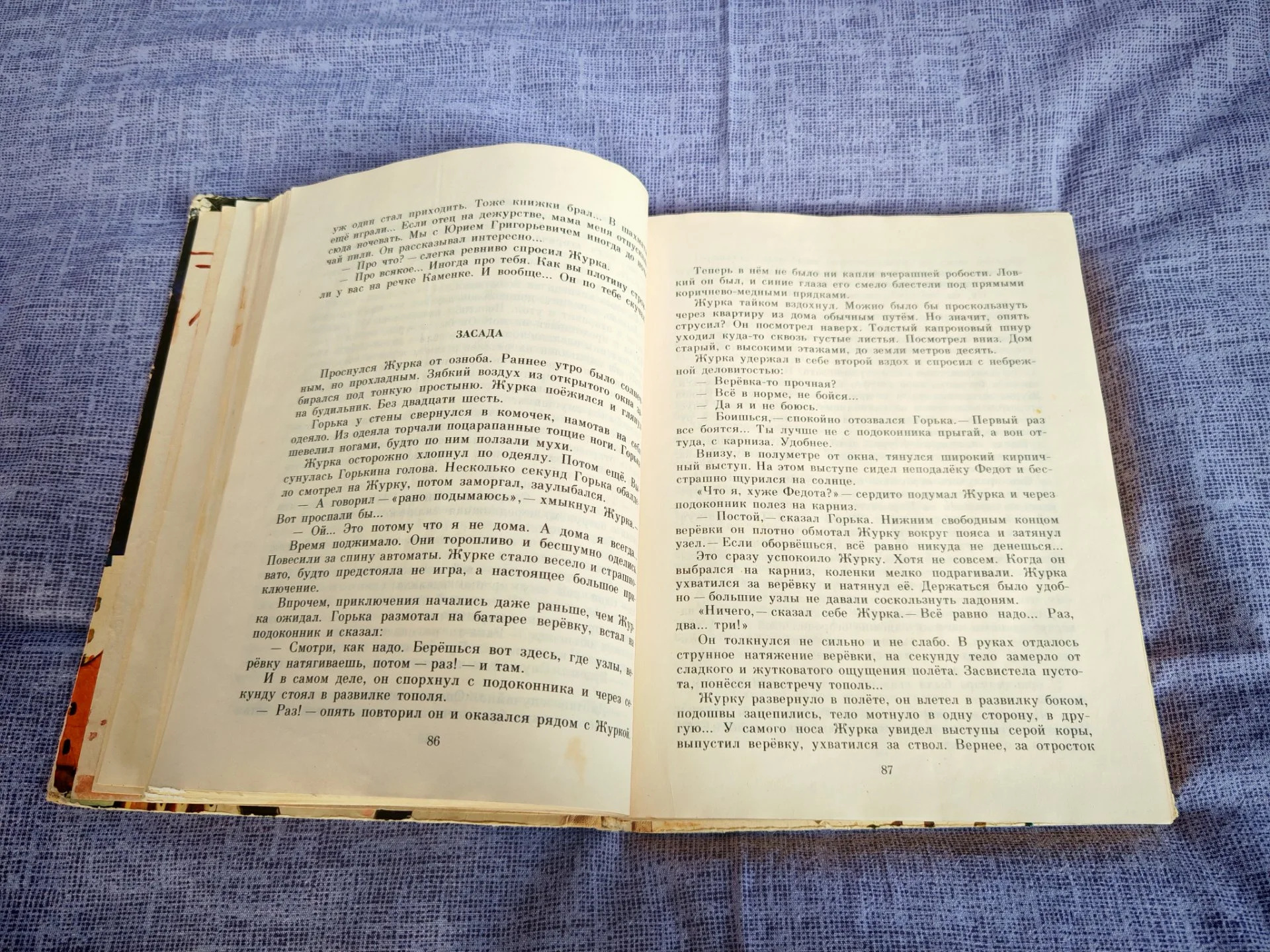 В.Крапивин Журавленок и молнии Рис. Е.Медведева 1985 год - миниатюра 5