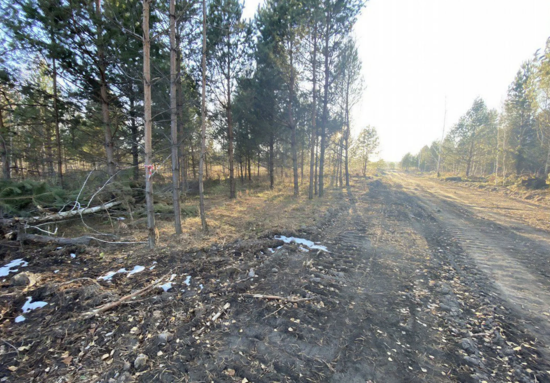 Земельный участок в живописном месте - миниатюра 8