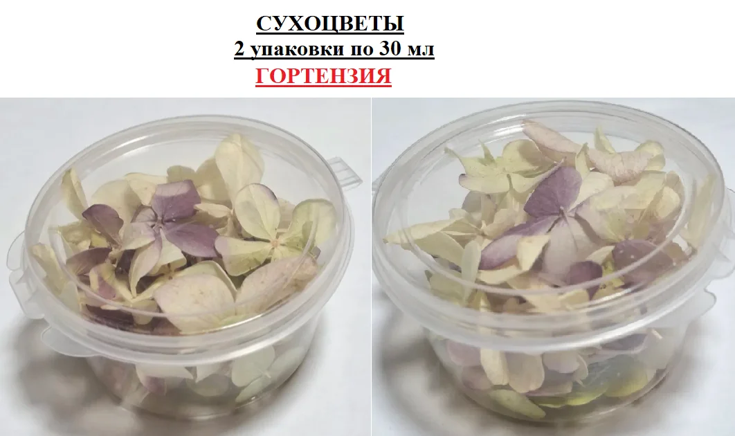 Сухоцветы  гортензия нестабилизированная - миниатюра 3