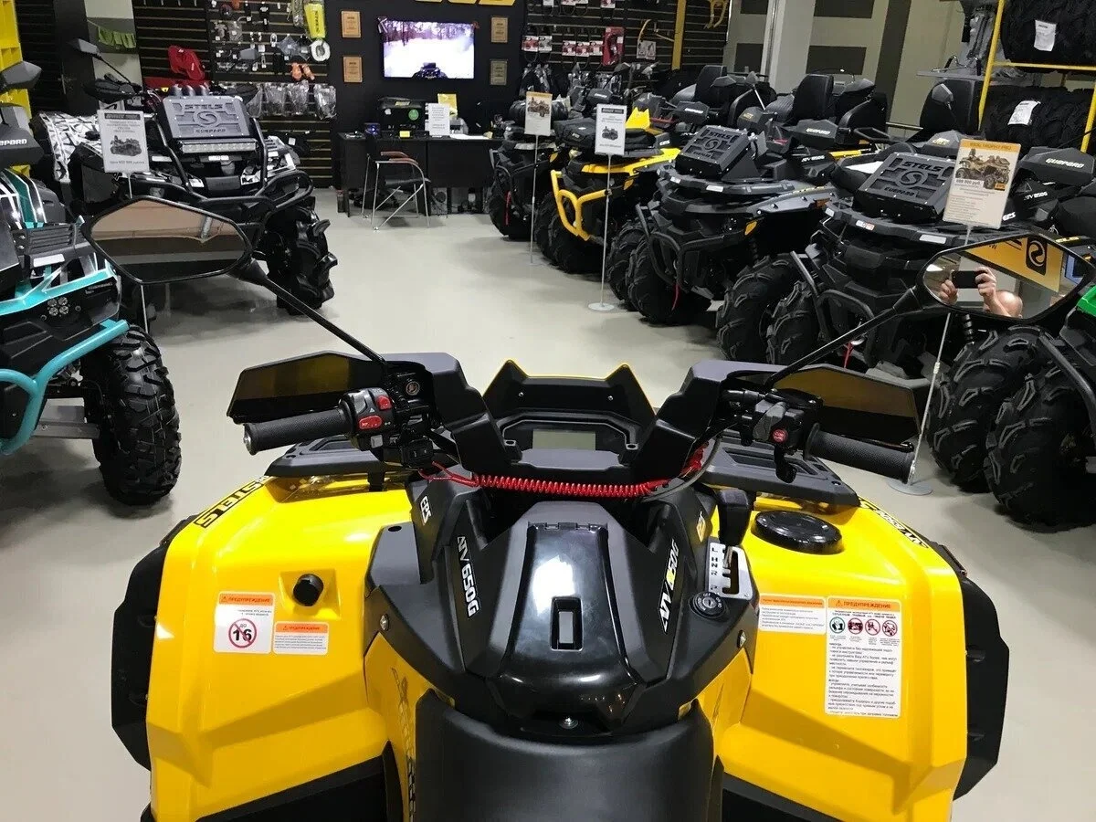 Квадроцикл Стелс ATV 650 (TE) Guepard 2.0 К01 GN - миниатюра 4
