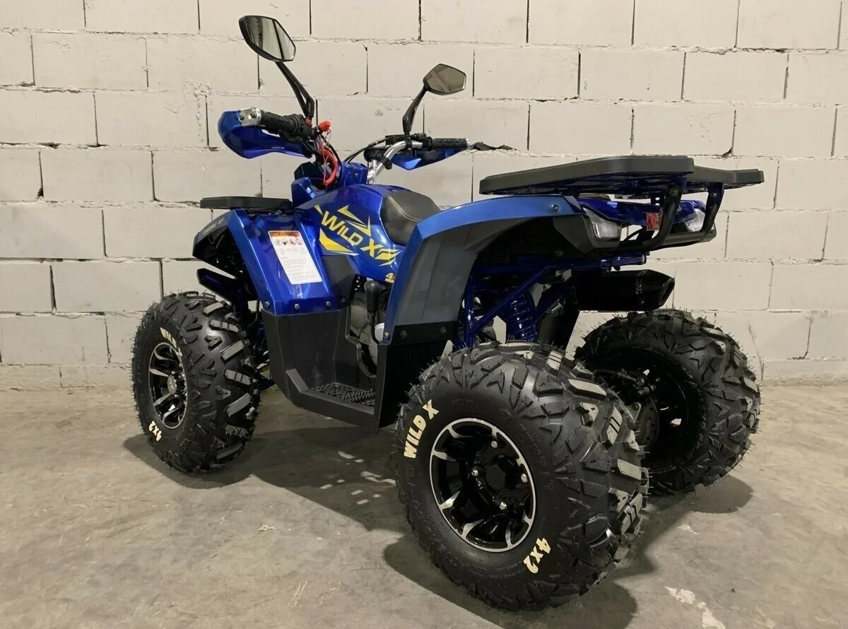 Квадроцикл MotoLand WILD X 125 - миниатюра 4
