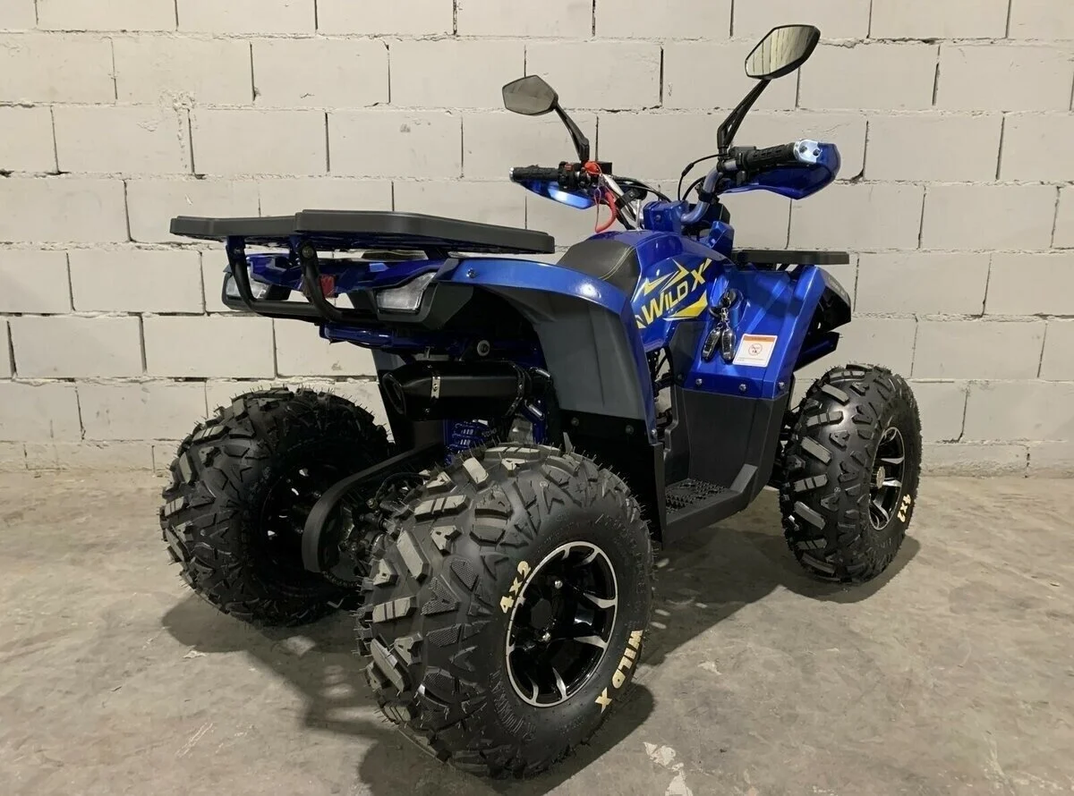 Квадроцикл MotoLand WILD X 125 - миниатюра 5