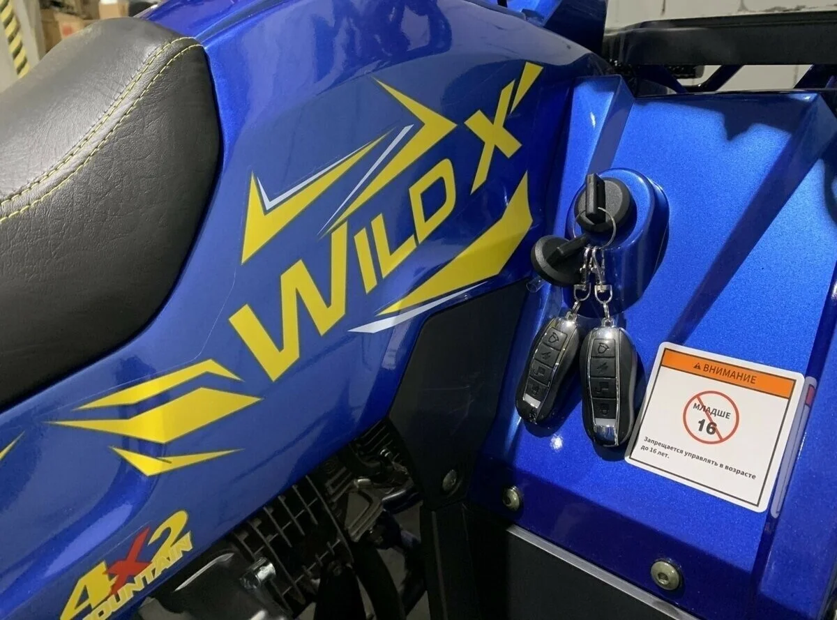 Квадроцикл MotoLand WILD X 125 - миниатюра 6