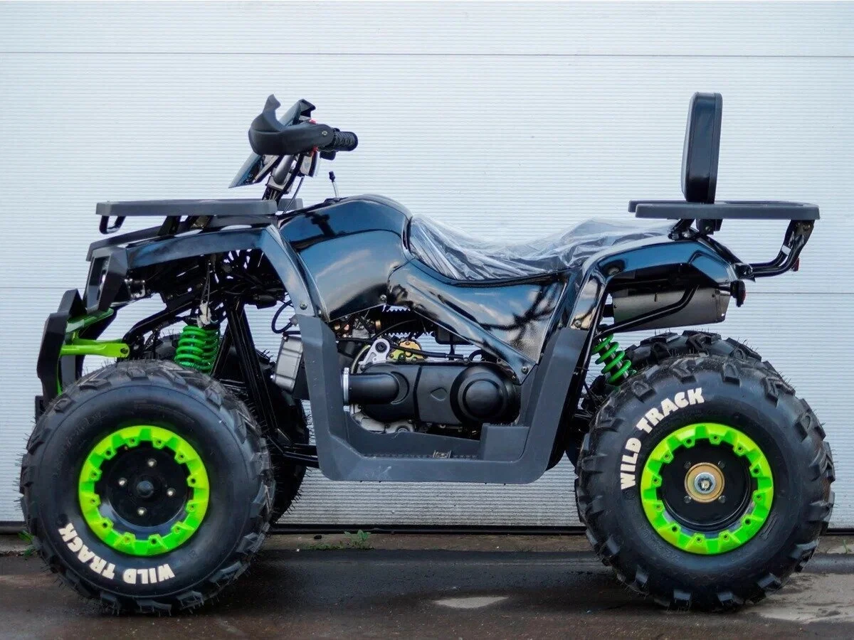 Квадроцикл Motoland 200 Wild Track Lux - миниатюра 2