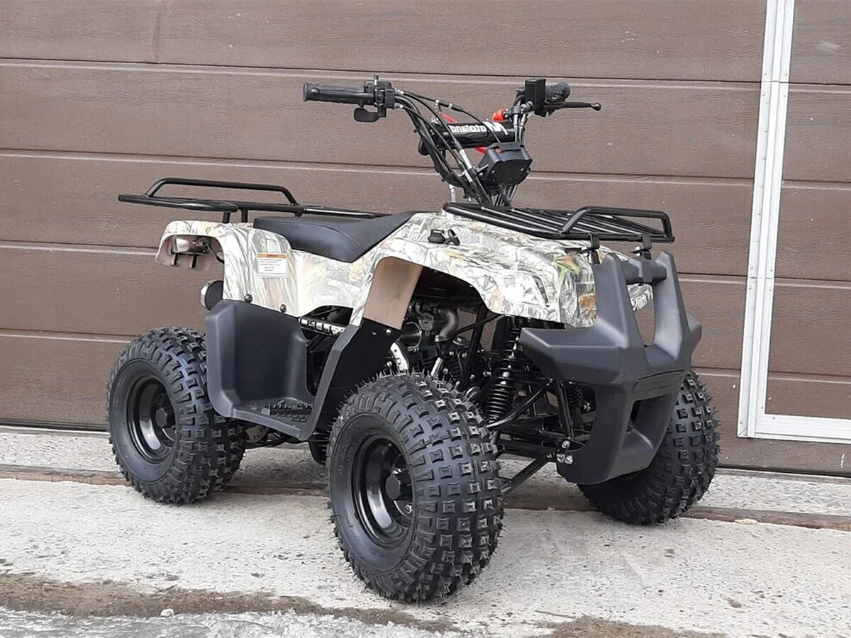 Квадроцикл Motoland 110 Rider - изображение 1