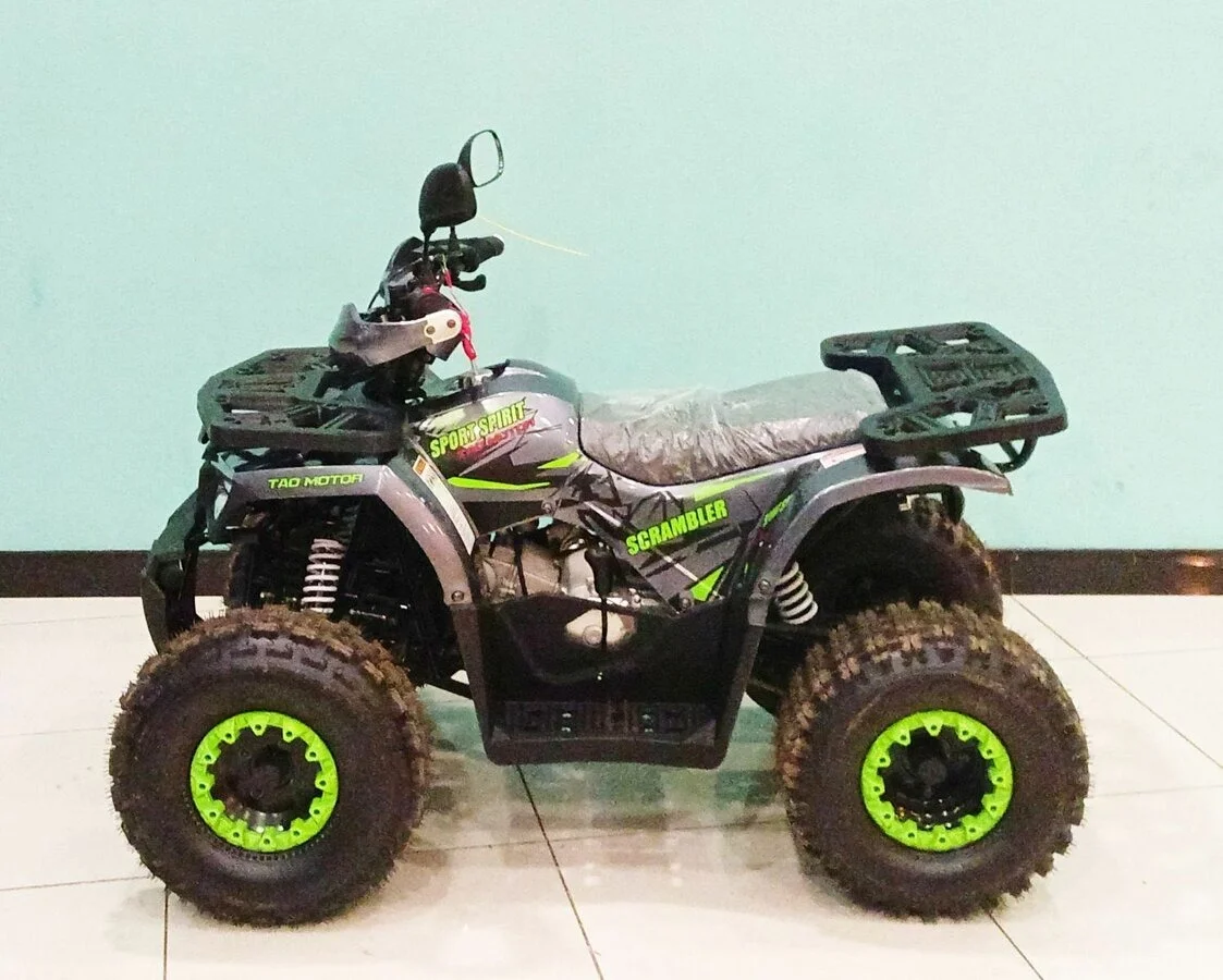 Квадроцикл Motoland 125 Wild - миниатюра 2