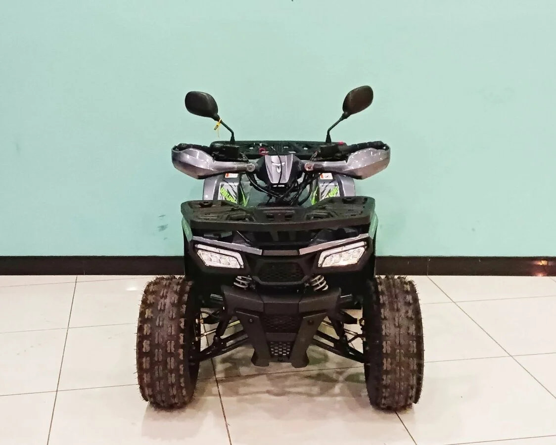 Квадроцикл Motoland 125 Wild - миниатюра 3