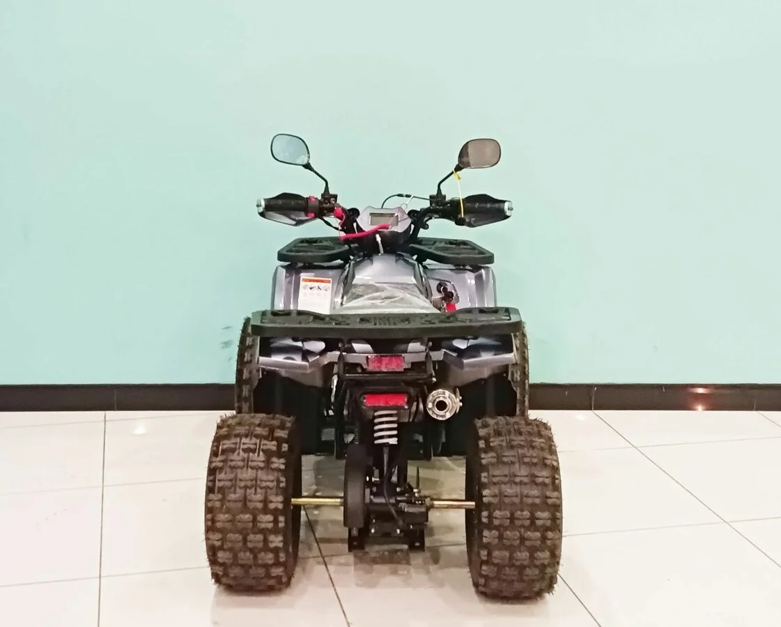 Квадроцикл Motoland 125 Wild - миниатюра 4