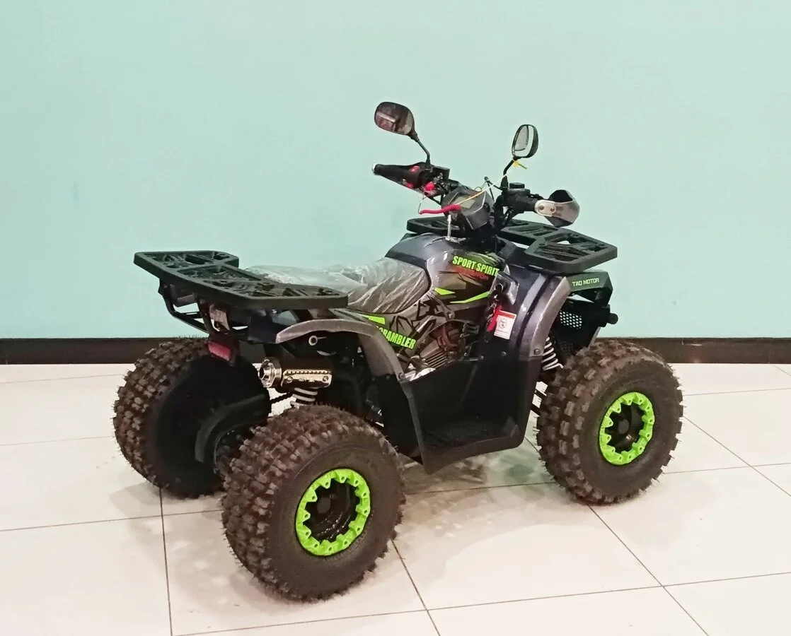 Квадроцикл Motoland 125 Wild - миниатюра 5