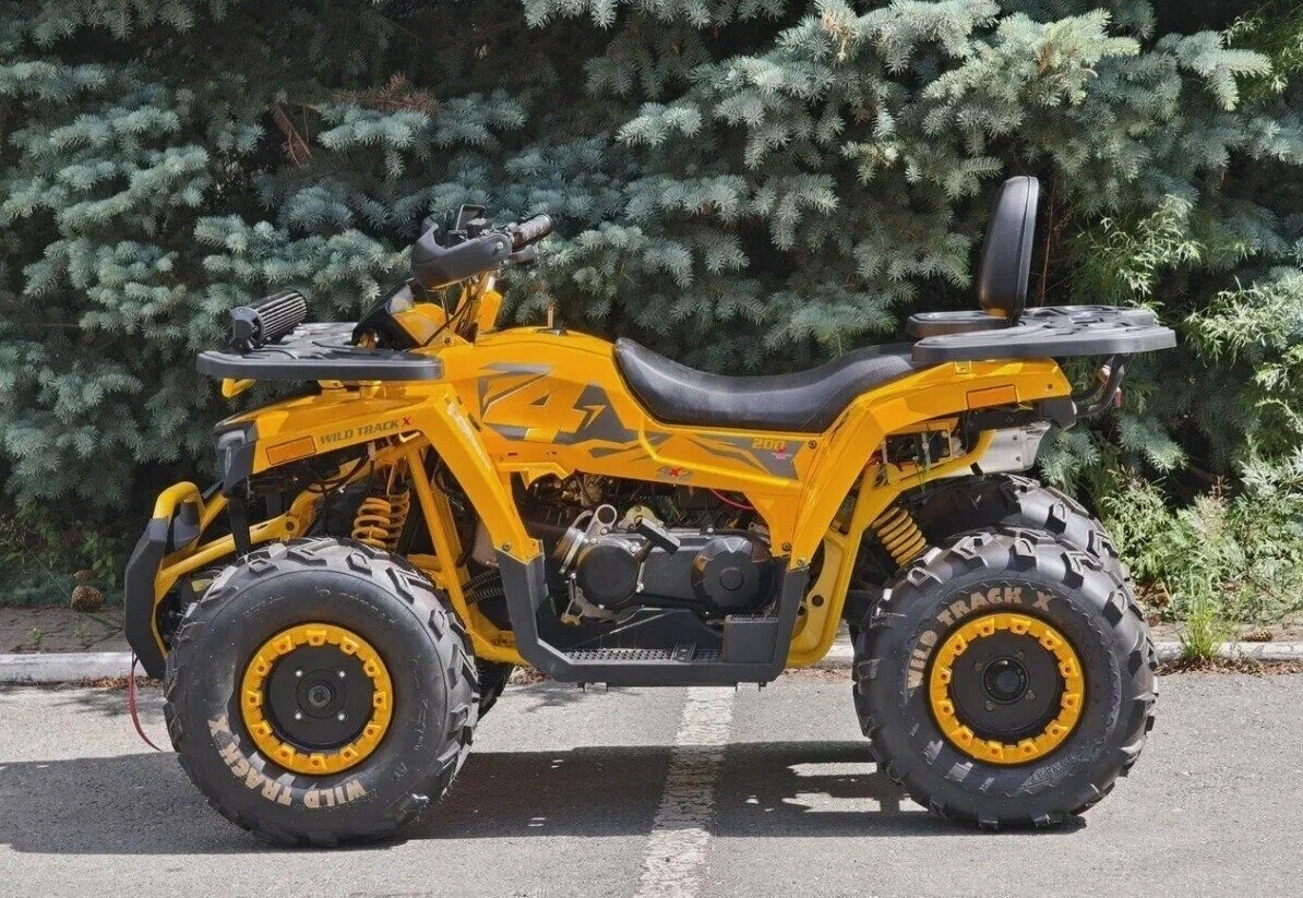 Квадроцикл Motoland 200 Wild Track X - миниатюра 2