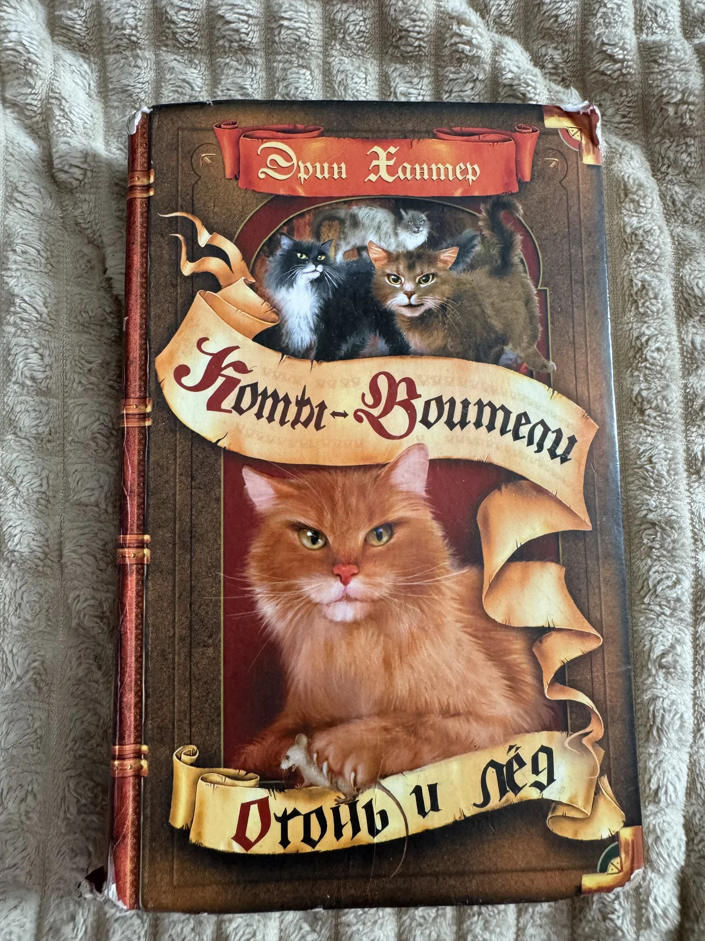 Книга коты воители - изображение 1