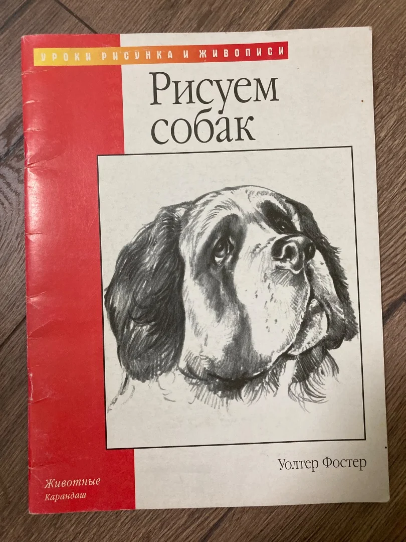 Рисуем собак - изображение 1