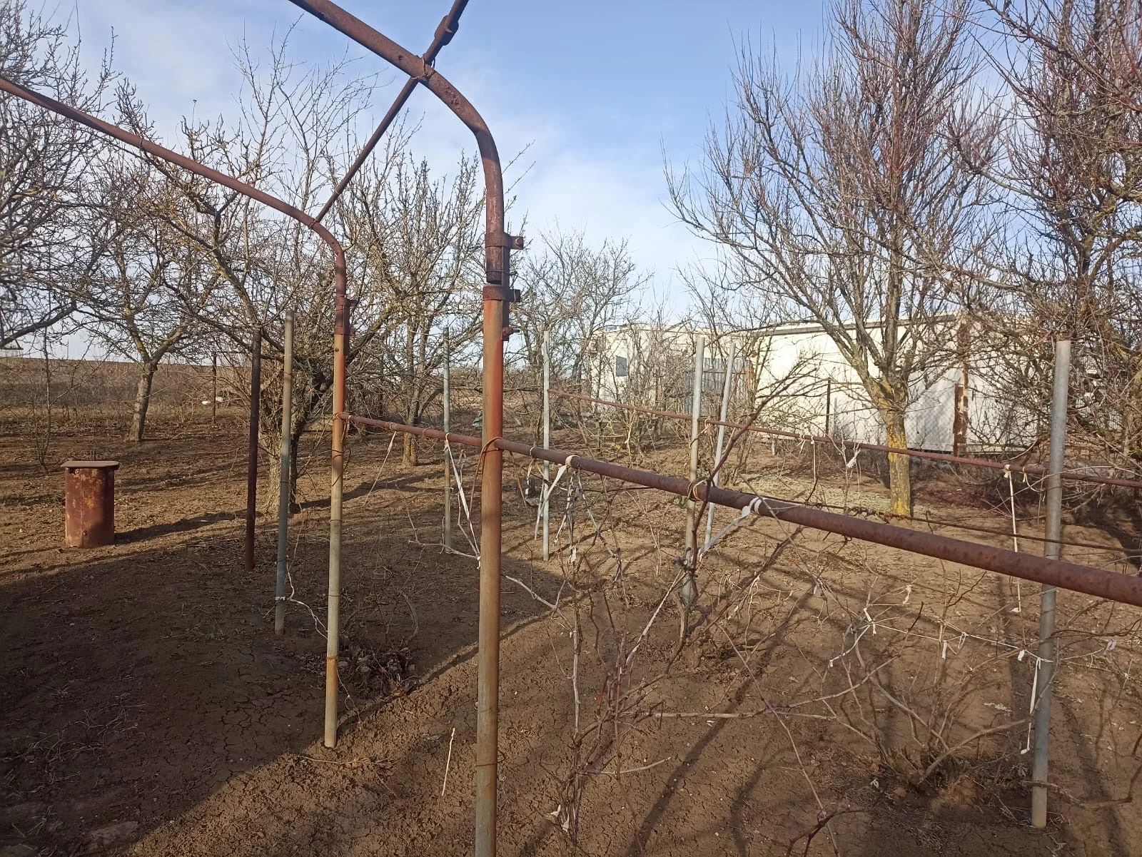 Участок возле Азовского моря - миниатюра 4