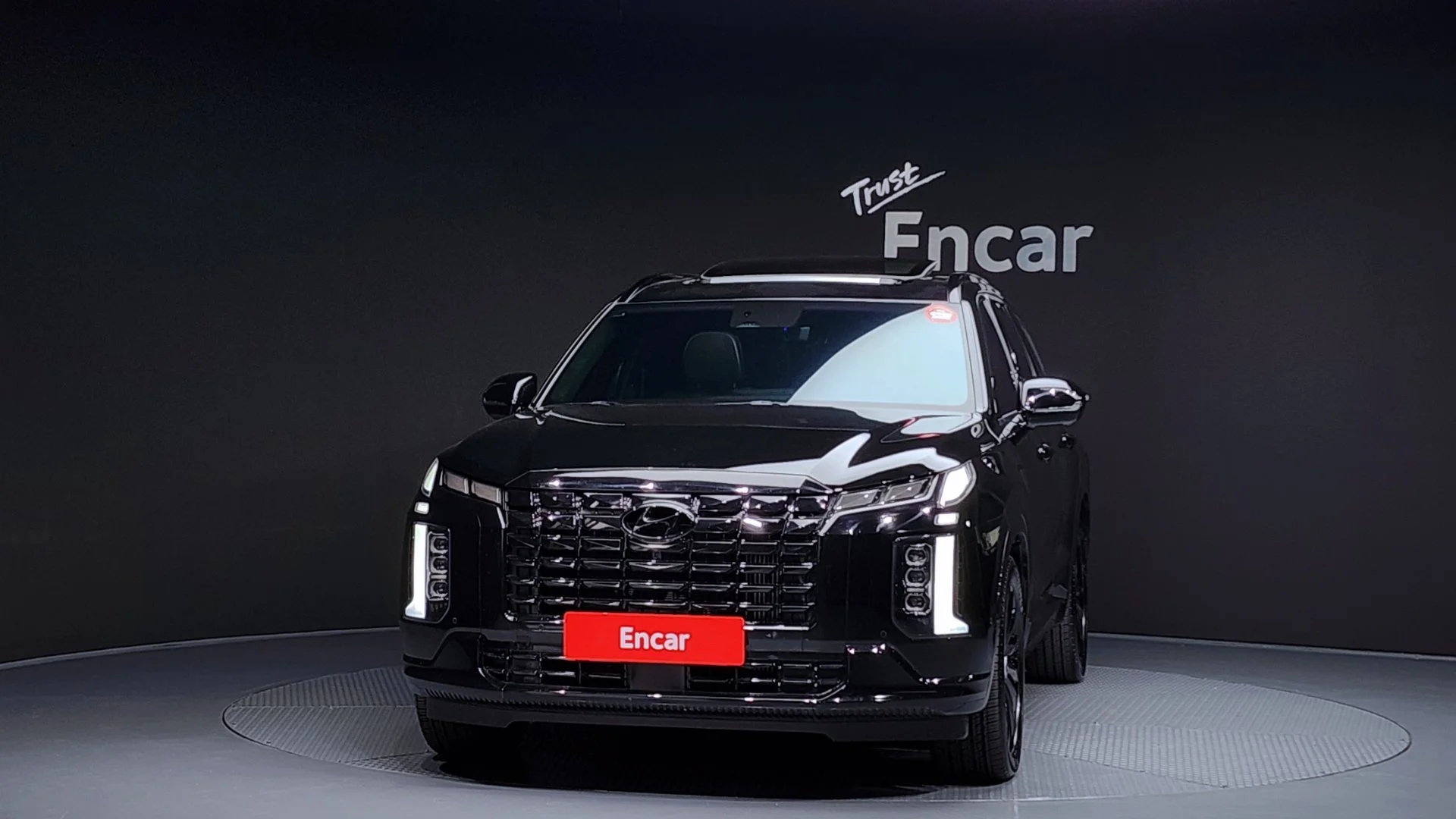 Hyundai Palisade - миниатюра 3