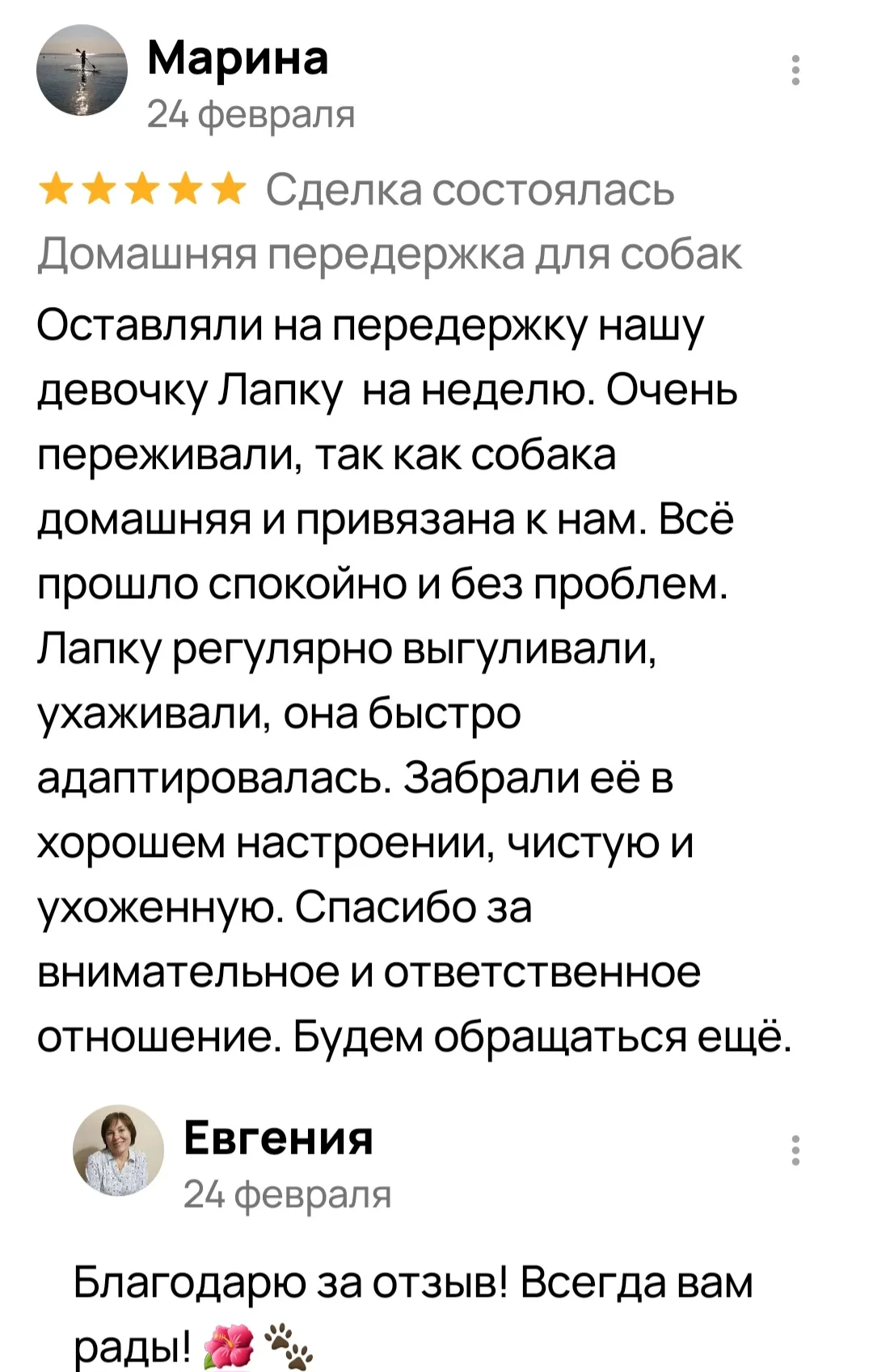 Домашняя передержка собак 🐶 - миниатюра 2