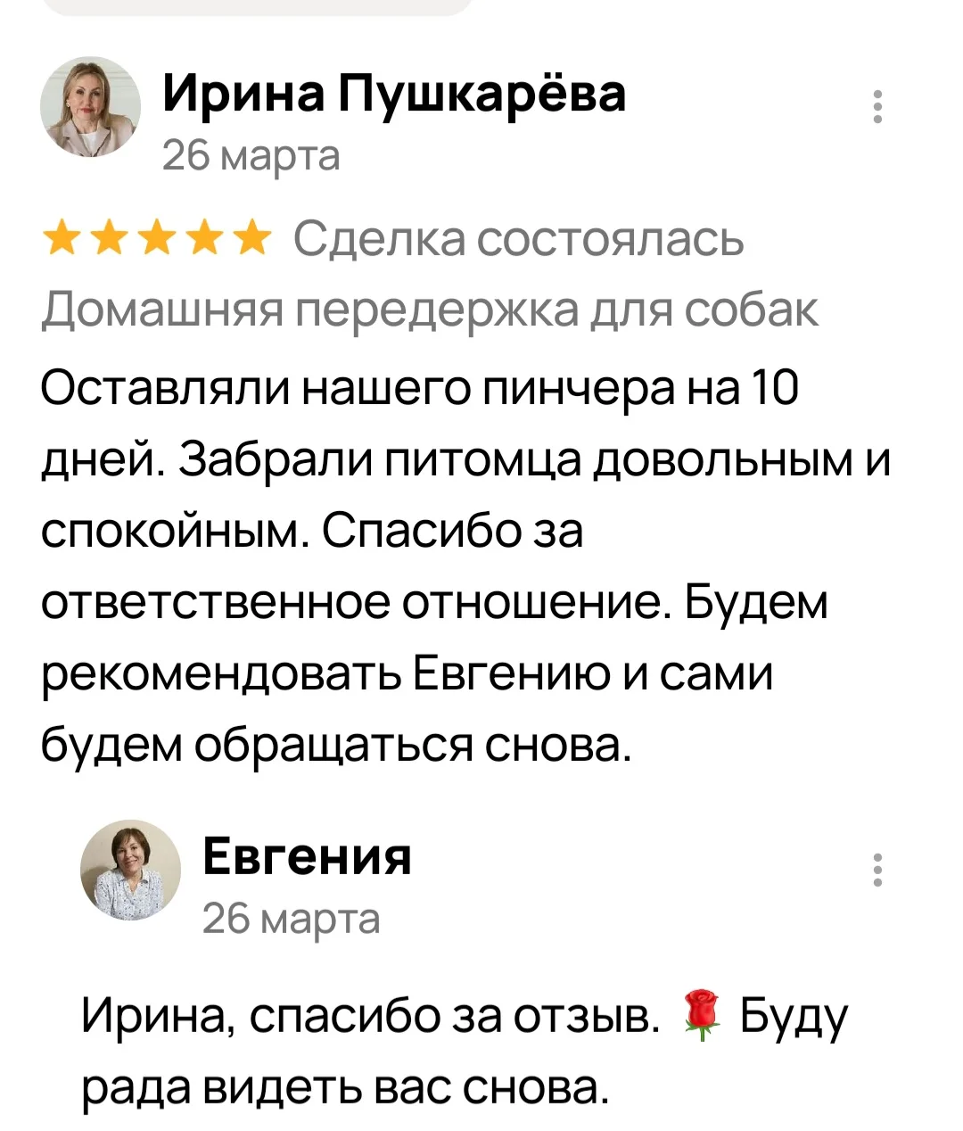 Домашняя передержка собак 🐶 - миниатюра 3
