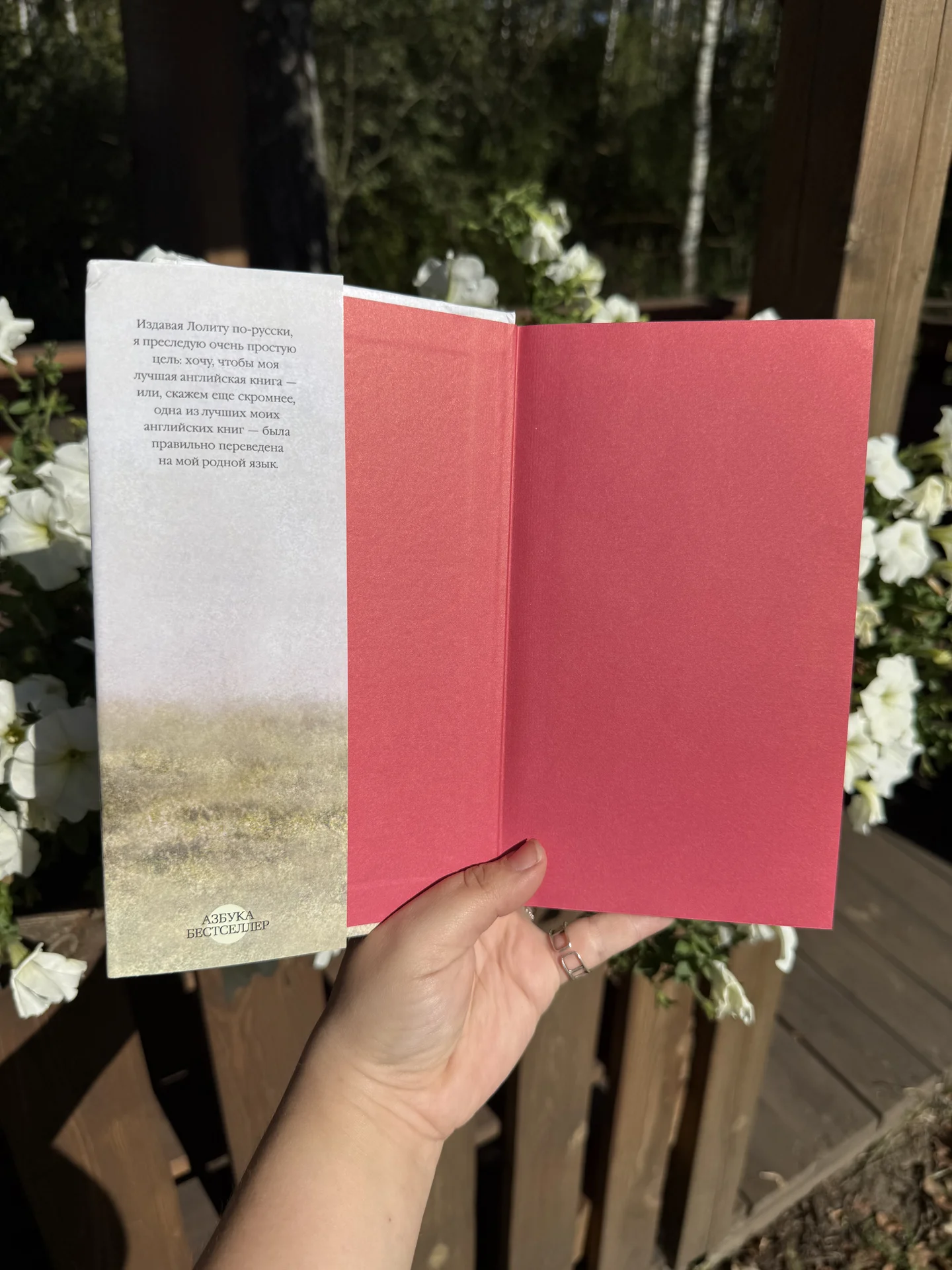 Книга Лолита Набоков Азбука в суперобложке - миниатюра 3