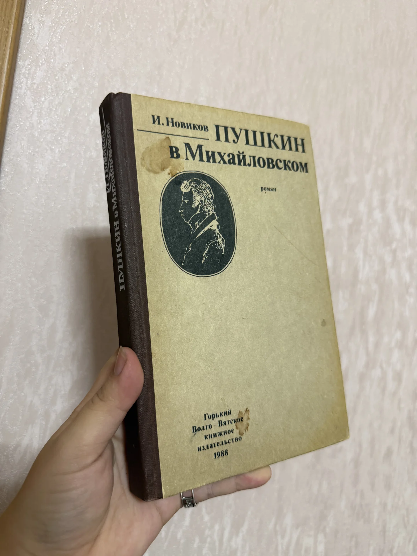 Книга Пушкин в Михайловском Новиков - изображение 1