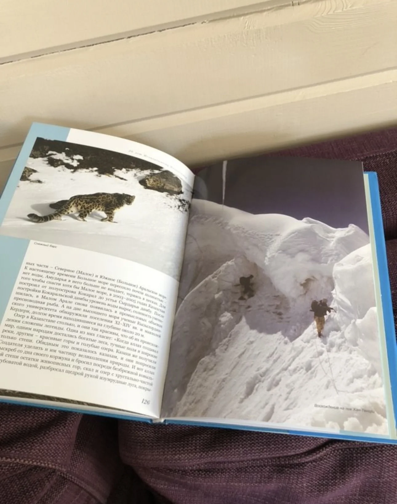 Книга про Казахстан - миниатюра 6