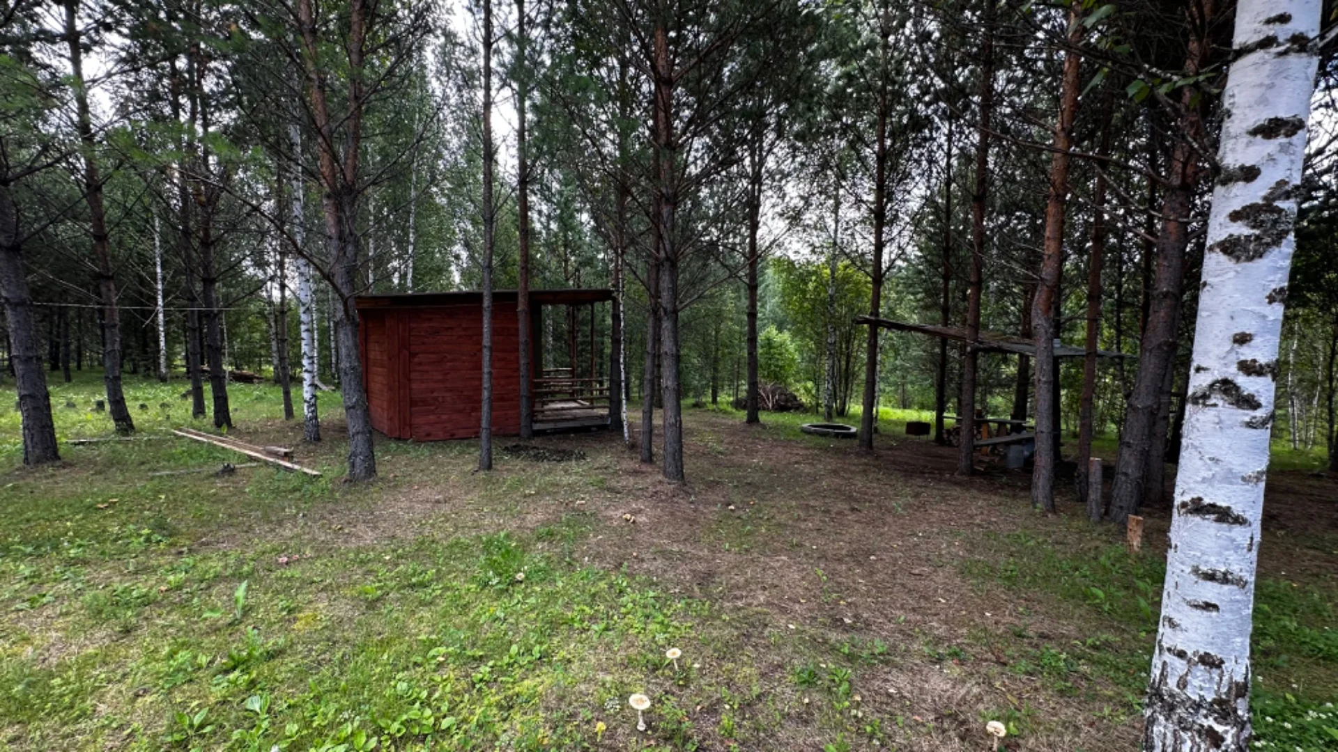 Продам участок 24 сотки ДНТ - миниатюра 11