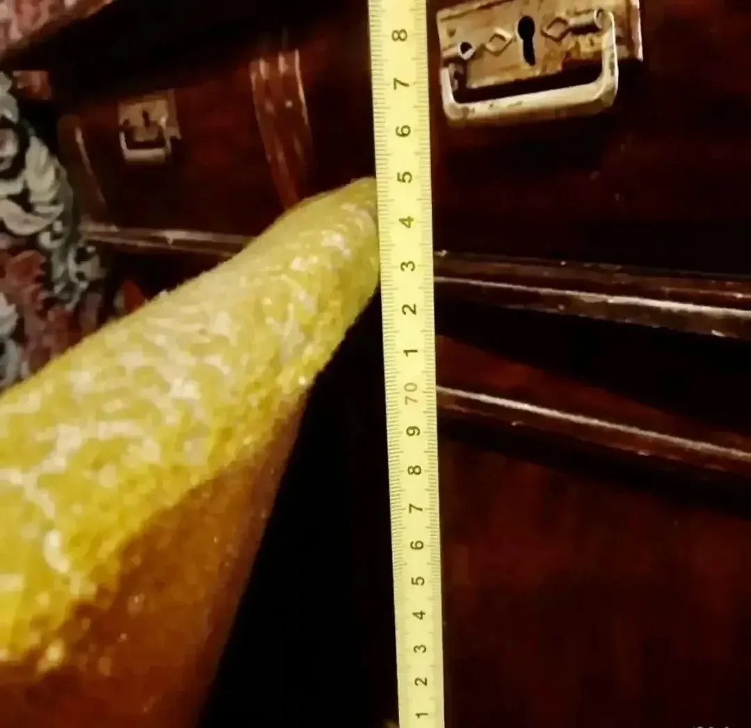 Кресло Ракушка винтаж СССР Чехословакия - миниатюра 5