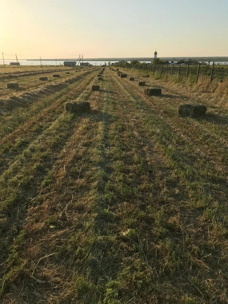 Продам земельный участок - миниатюра 4