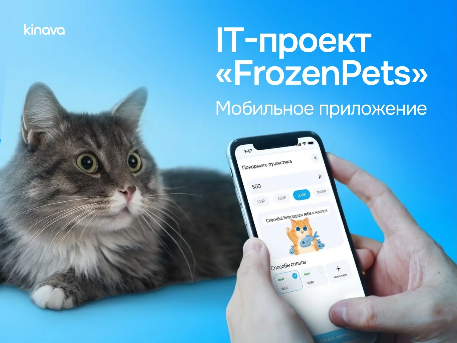 Разработка сайтов и мобильных приложений под ключ - миниатюра 11