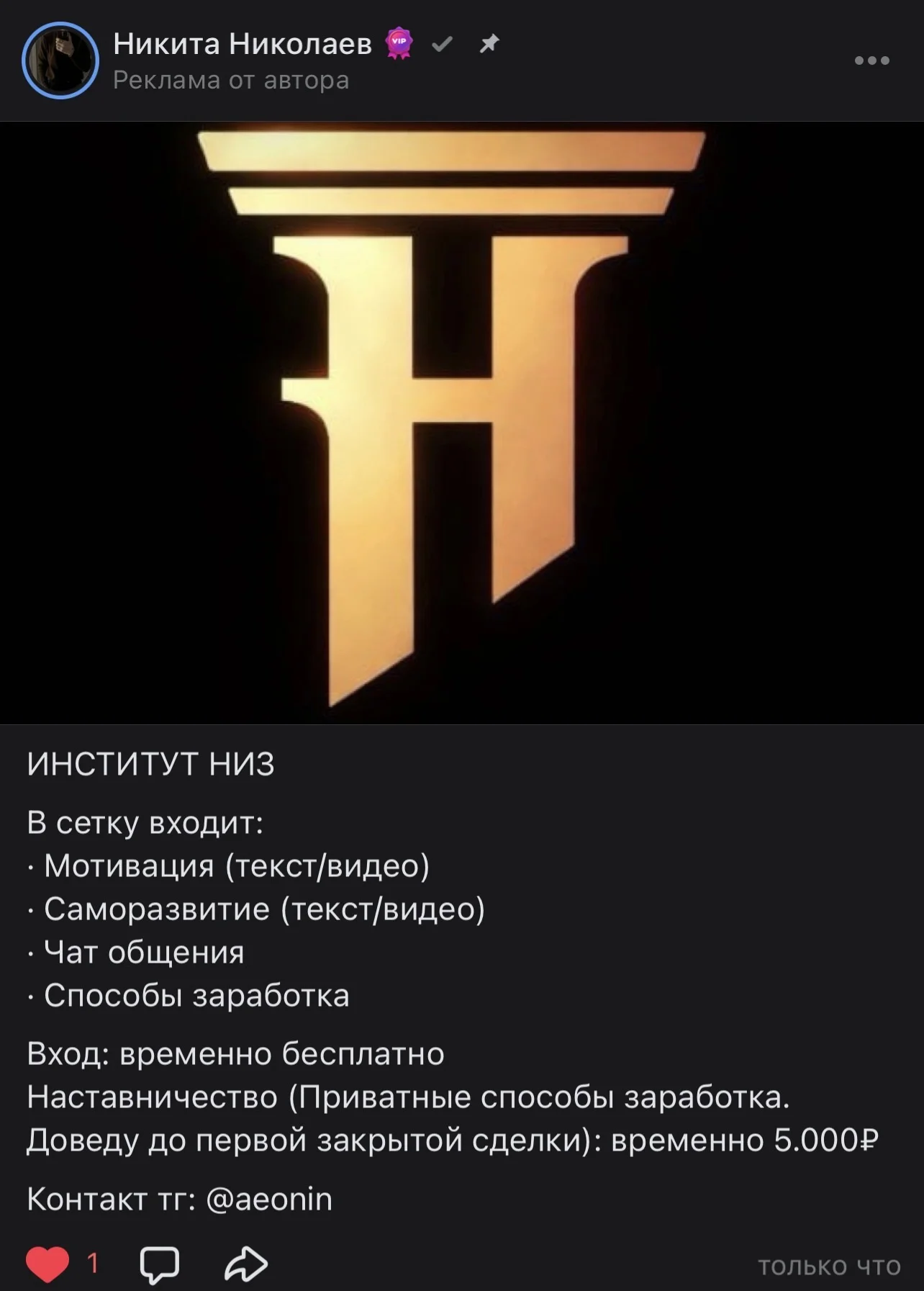Институт НИЗ - изображение 1