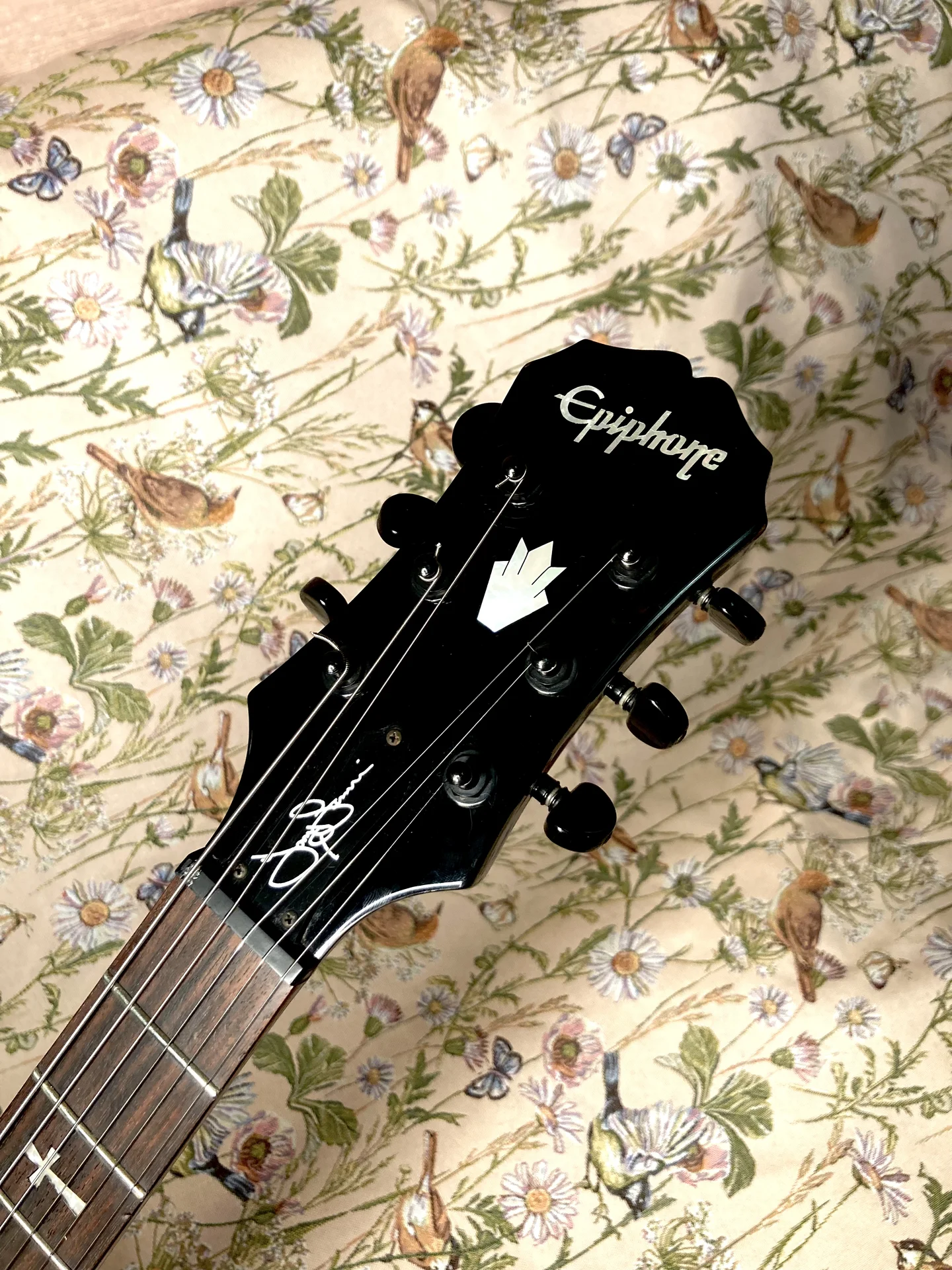 Epiphone Tony Iommi Korea Gibson Pickups +кейс - миниатюра 2