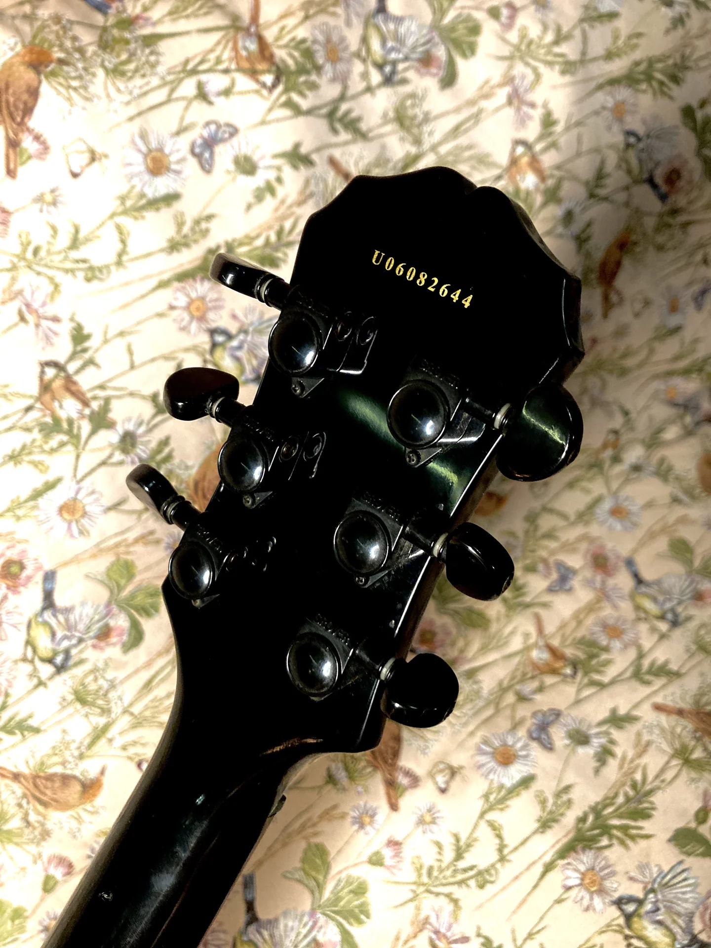 Epiphone Tony Iommi Korea Gibson Pickups +кейс - миниатюра 3