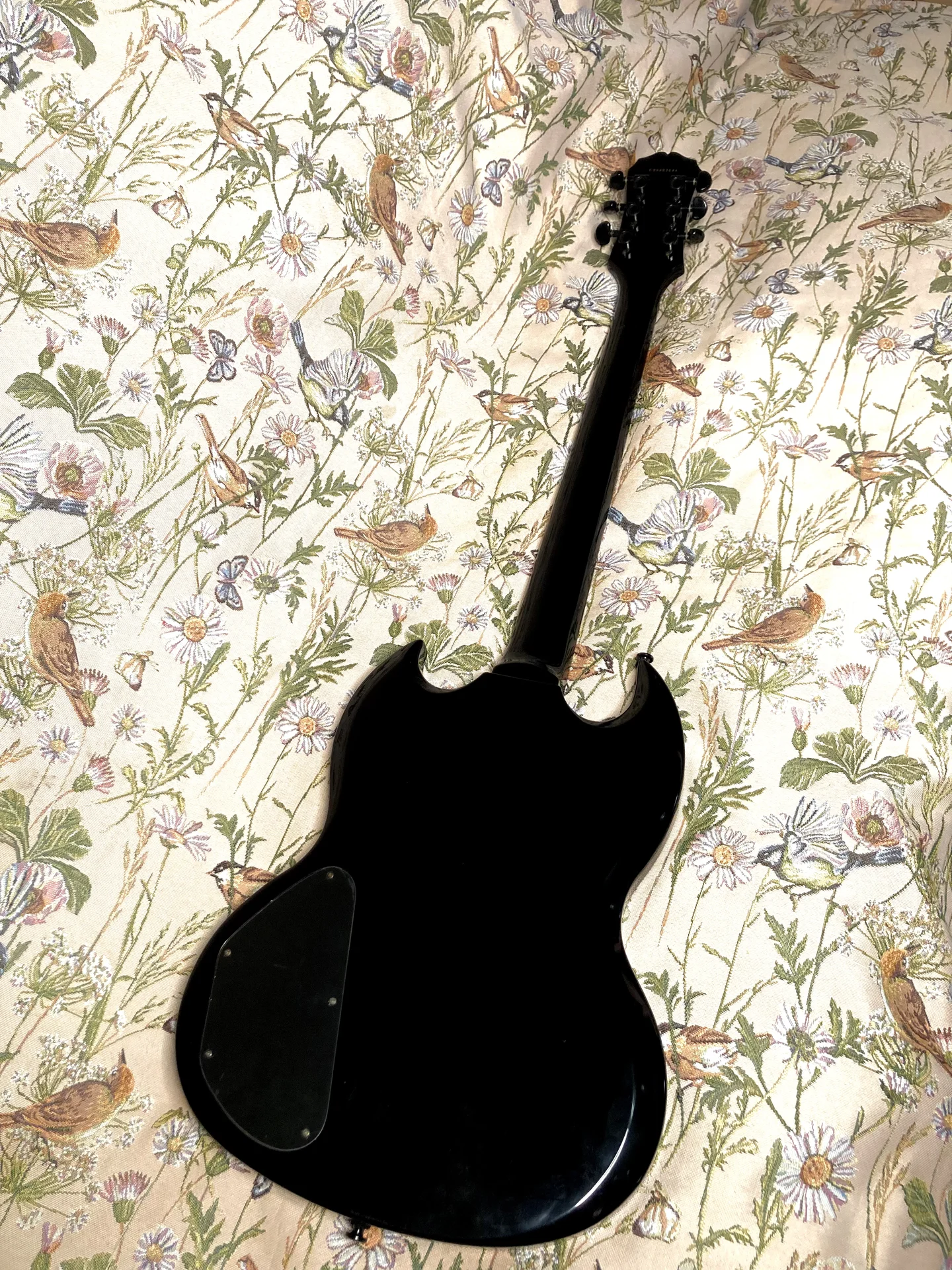 Epiphone Tony Iommi Korea Gibson Pickups +кейс - миниатюра 4