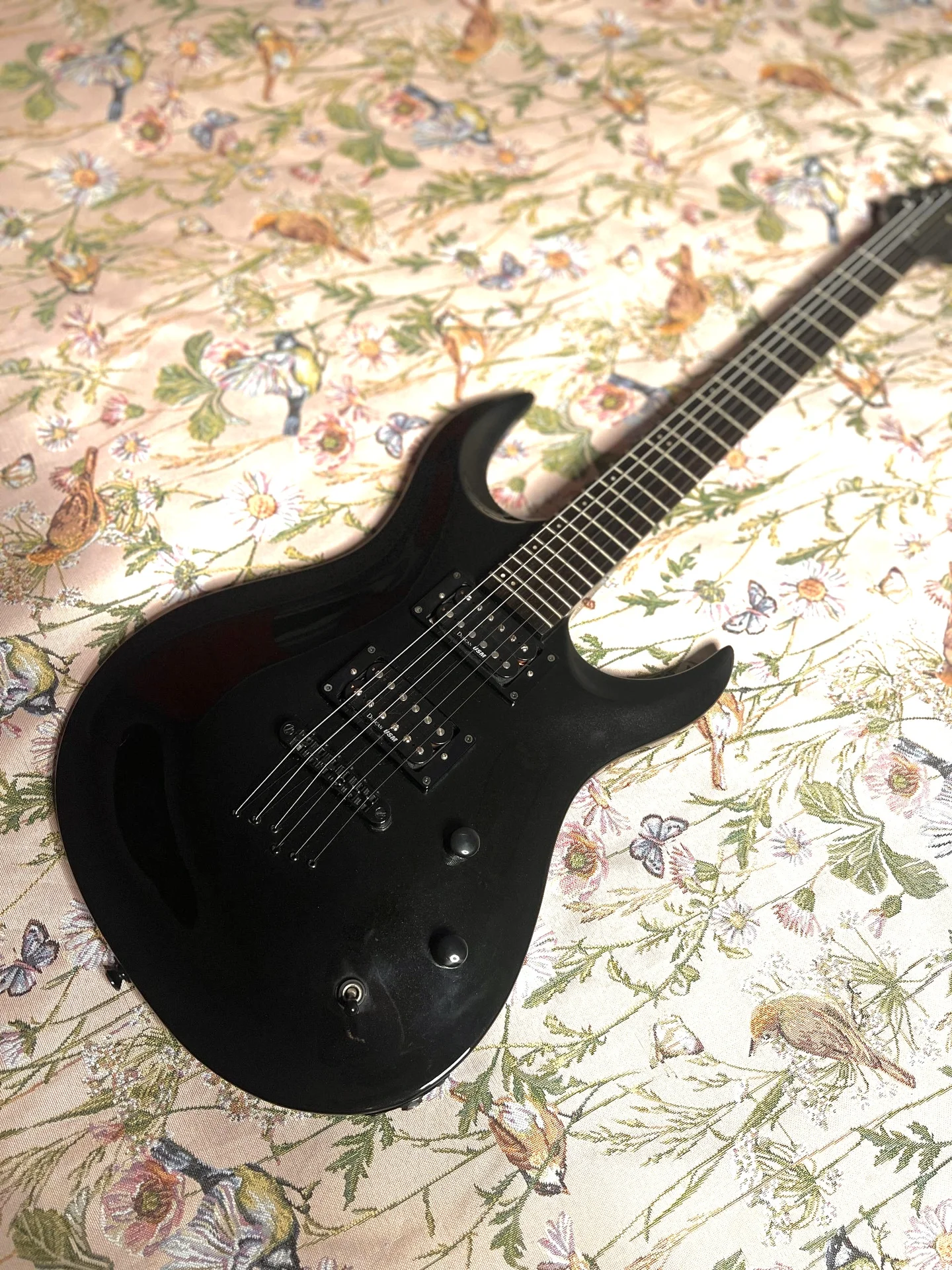 Washburn XM-Pro2 - изображение 1