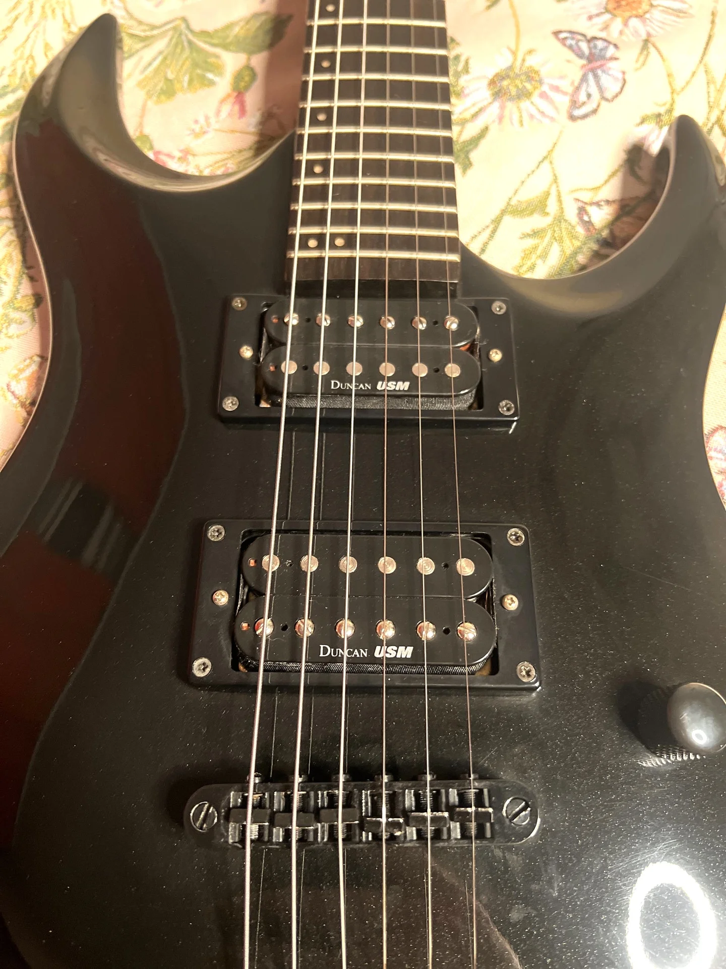 Washburn XM-Pro2 - миниатюра 2