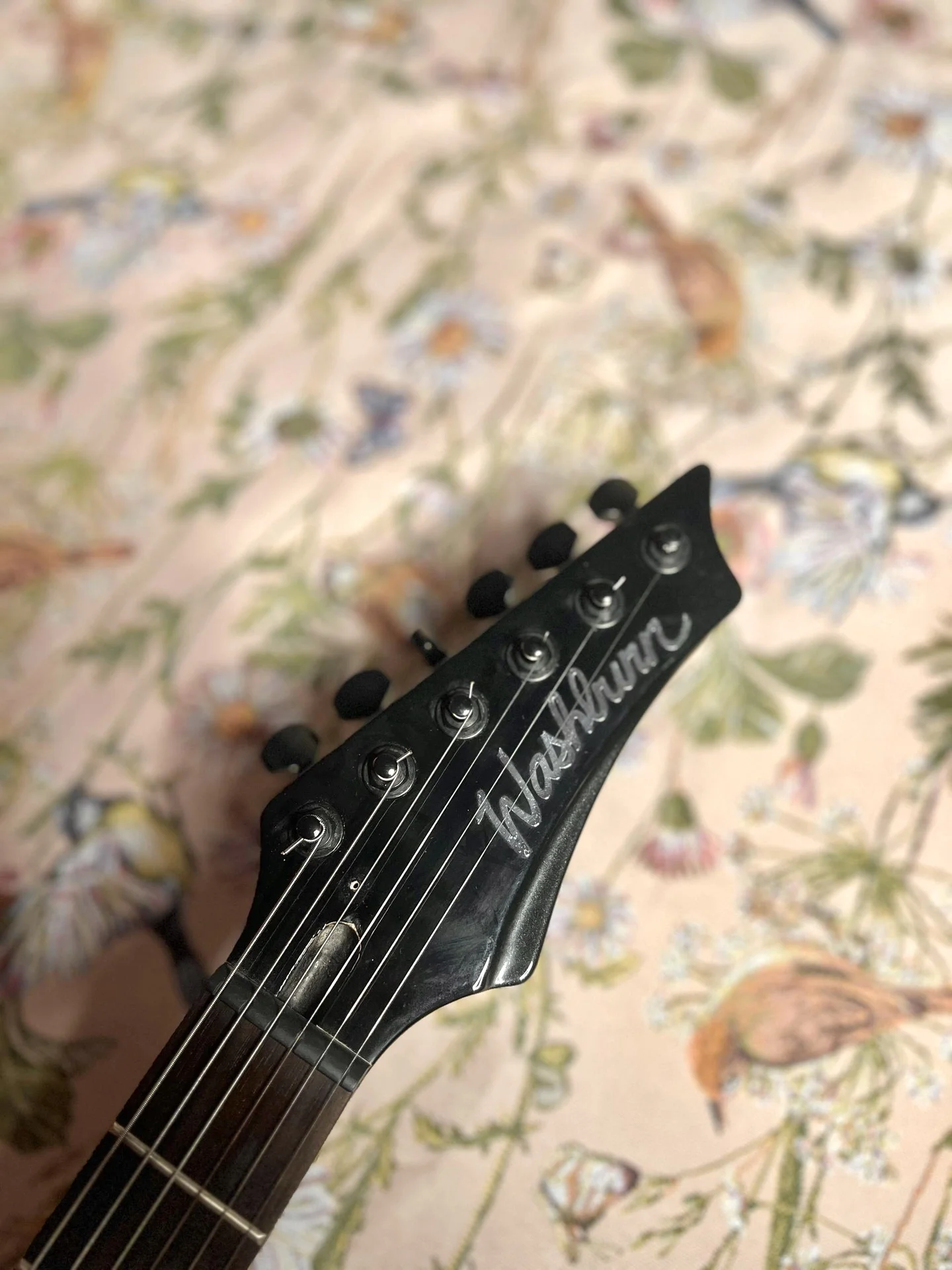 Washburn XM-Pro2 - миниатюра 3